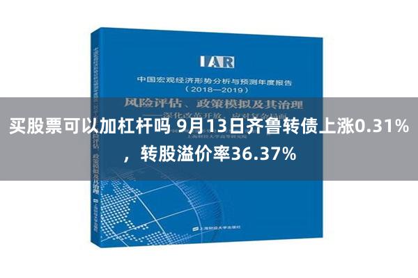 买股票可以加杠杆吗 9月13日齐鲁转债上涨0.31%，转股溢价率36.37%