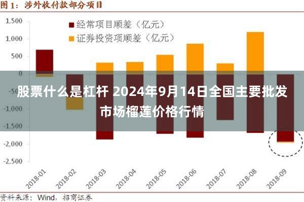 股票什么是杠杆 2024年9月14日全国主要批发市场榴莲价格行情