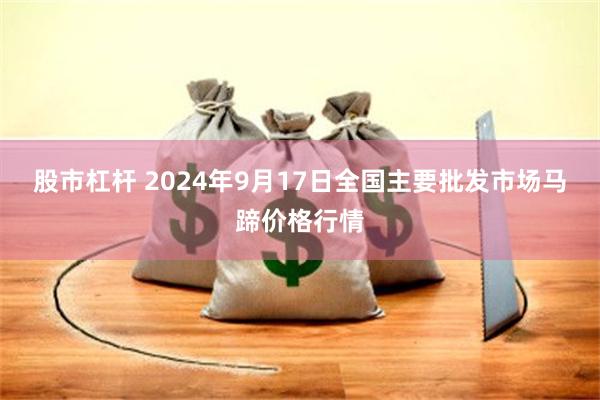 股市杠杆 2024年9月17日全国主要批发市场马蹄价格行情