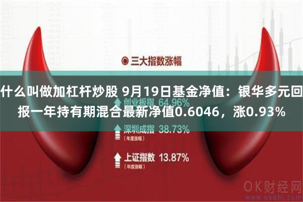 什么叫做加杠杆炒股 9月19日基金净值：银华多元回报一年持有期混合最新净值0.6046，涨0.93%