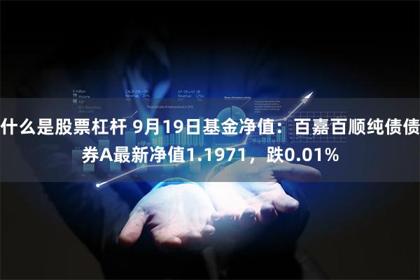 什么是股票杠杆 9月19日基金净值：百嘉百顺纯债债券A最新净值1.1971，跌0.01%