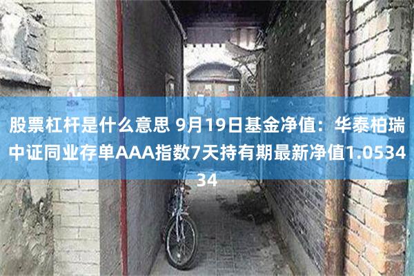 股票杠杆是什么意思 9月19日基金净值：华泰柏瑞中证同业存单AAA指数7天持有期最新净值1.0534