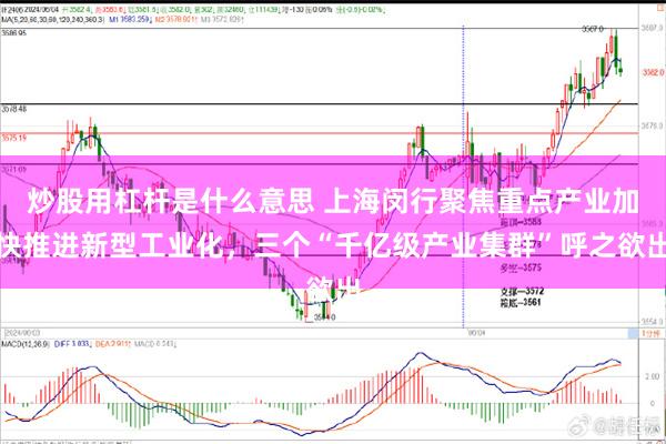 炒股用杠杆是什么意思 上海闵行聚焦重点产业加快推进新型工业化，三个“千亿级产业集群”呼之欲出