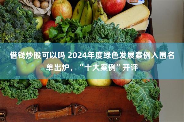 借钱炒股可以吗 2024年度绿色发展案例入围名单出炉，“十大案例”开评