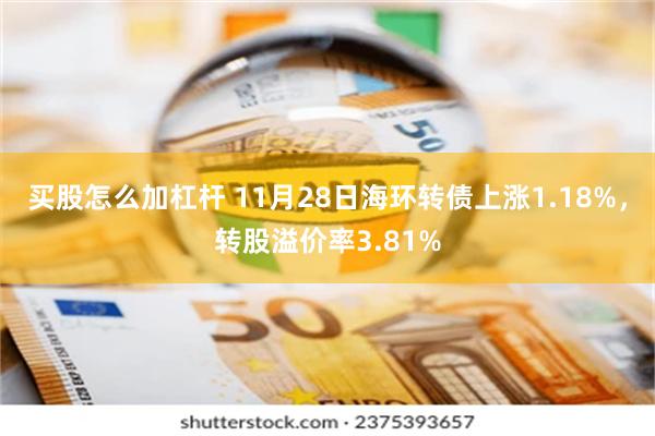 买股怎么加杠杆 11月28日海环转债上涨1.18%，转股溢价率3.81%