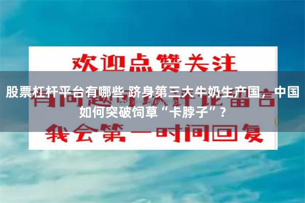 股票杠杆平台有哪些 跻身第三大牛奶生产国，中国如何突破饲草“卡脖子”？