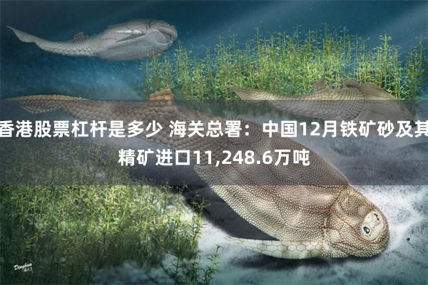 香港股票杠杆是多少 海关总署：中国12月铁矿砂及其精矿进口11,248.6万吨