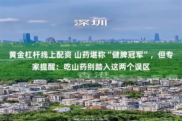 黄金杠杆线上配资 山药堪称“健脾冠军”，但专家提醒：吃山药别踏入这两个误区