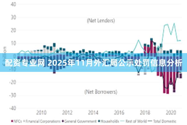 配资专业网 2025年11月外汇局公示处罚信息分析
