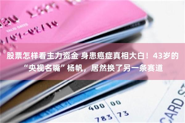 股票怎样看主力资金 身患癌症真相大白！43岁的“央视名嘴”杨帆，居然换了另一条赛道