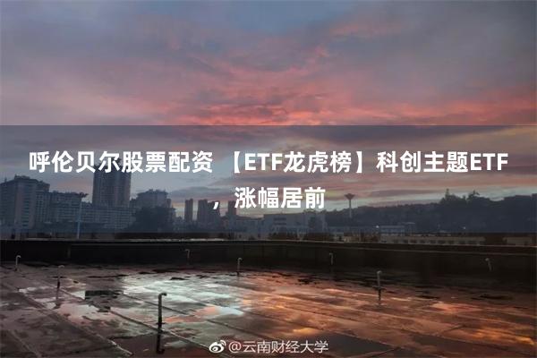 呼伦贝尔股票配资 【ETF龙虎榜】科创主题ETF，涨幅居前