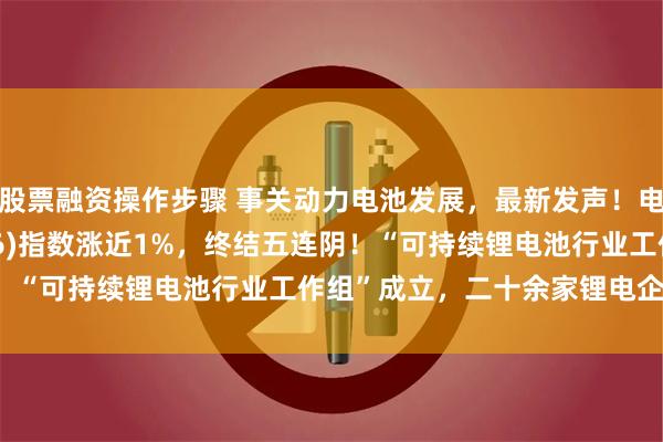 股票融资操作步骤 事关动力电池发展，最新发声！电池ETF汇添富(159796)指数涨近1%，终结五连阴！“可持续锂电池行业工作组”成立，二十余家锂电企业参与！