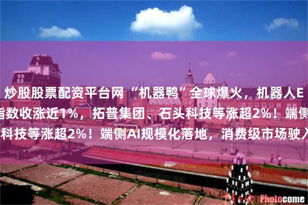 炒股股票配资平台网 “机器鸭”全球爆火，机器人ETF汇添富(159213)指数收涨近1%，拓普集团、石头科技等涨超2%！端侧AI规模化落地，消费级市场驶入快车道？