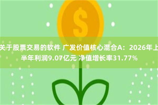关于股票交易的软件 广发价值核心混合A：2026年上半年利润9.07亿元 净值增长率31.77%