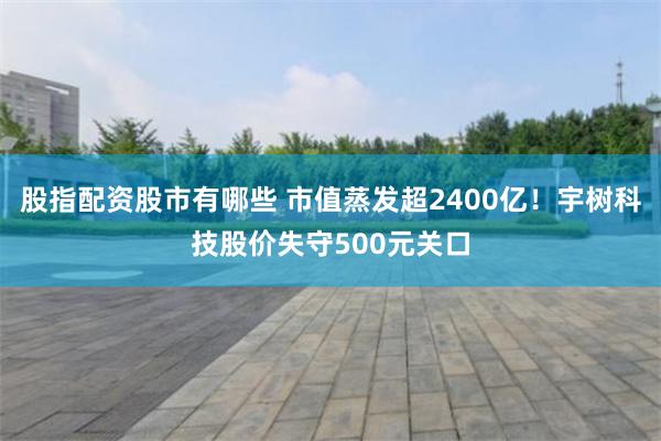 股指配资股市有哪些 市值蒸发超2400亿！宇树科技股价失守500元关口